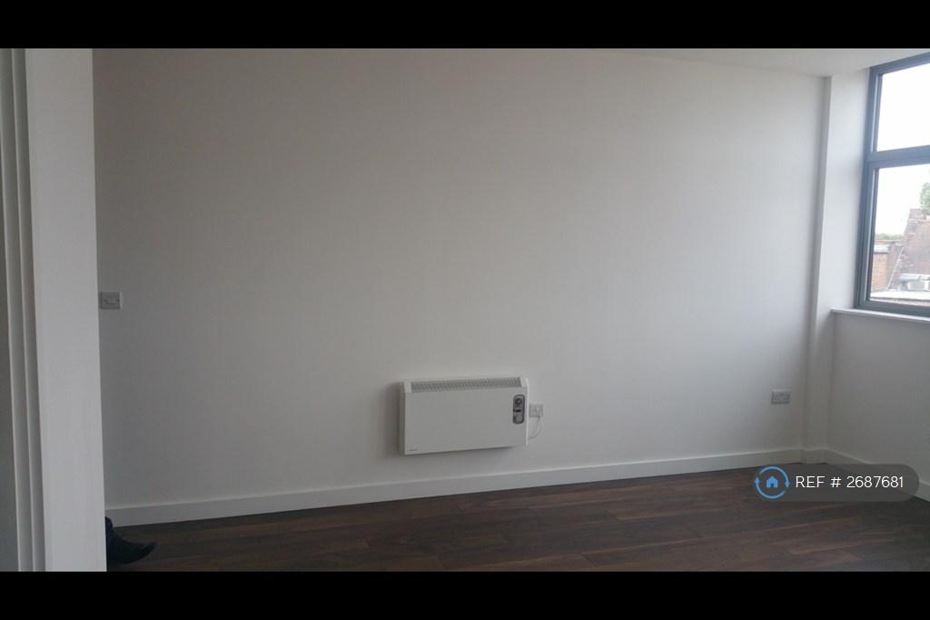Living Room/Bedroom