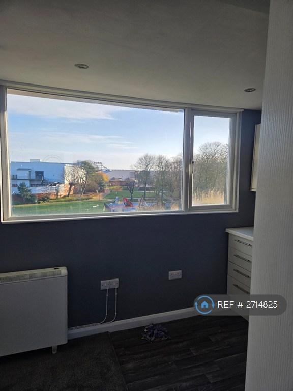 View From Kitchen