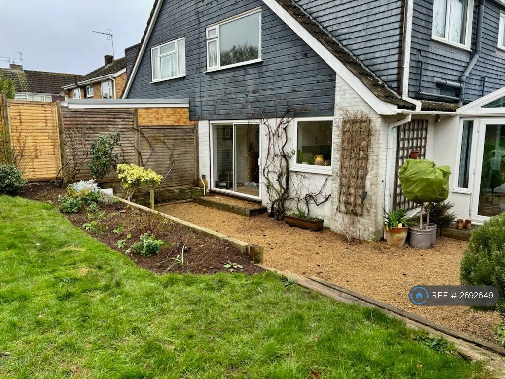 Back Garden