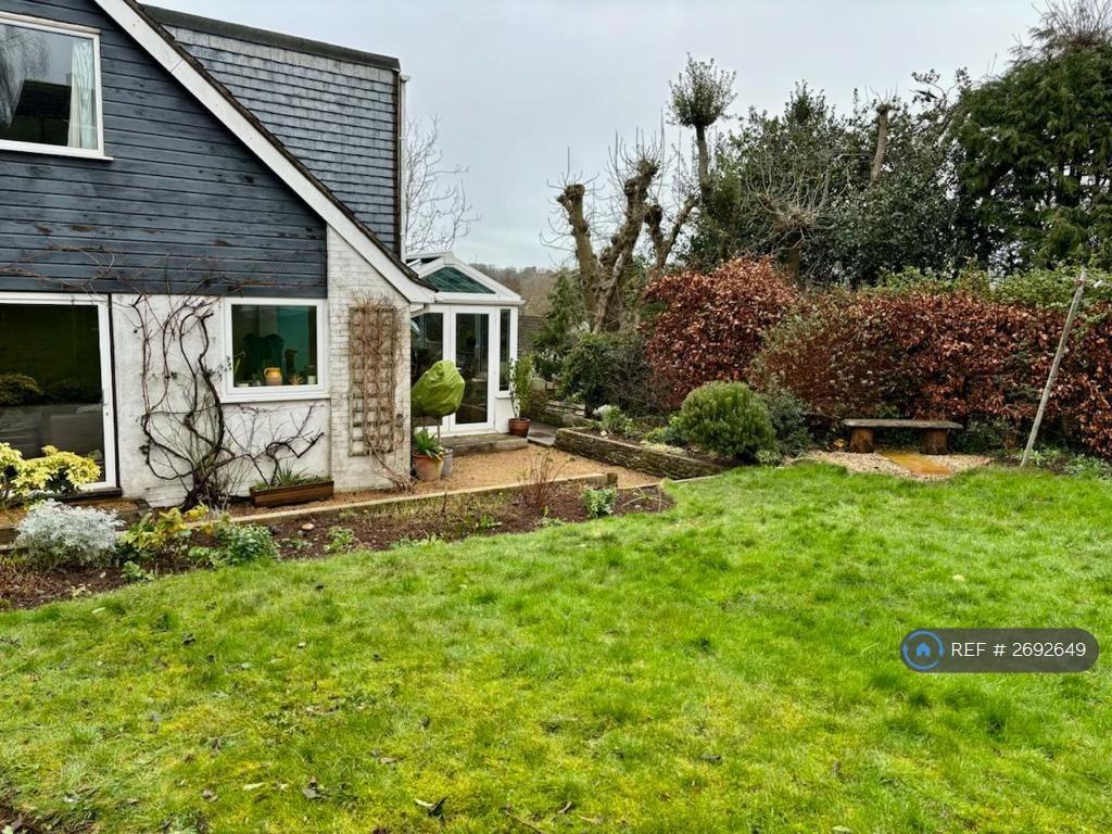 Back Garden