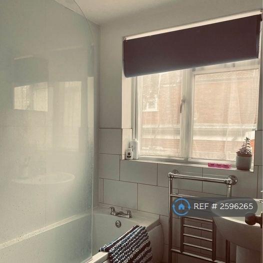 Bathroom, Electric Shower