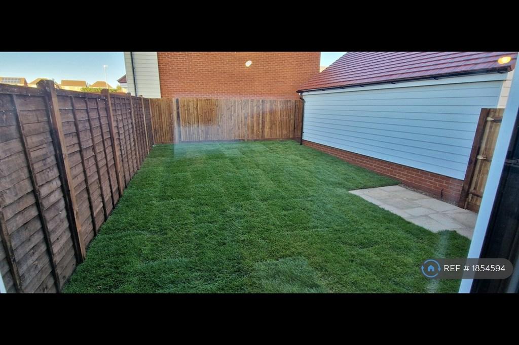 Back Garden