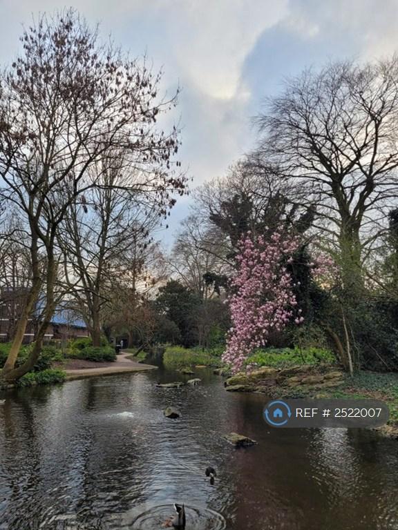 Parks Nearby Including Duck Ponds