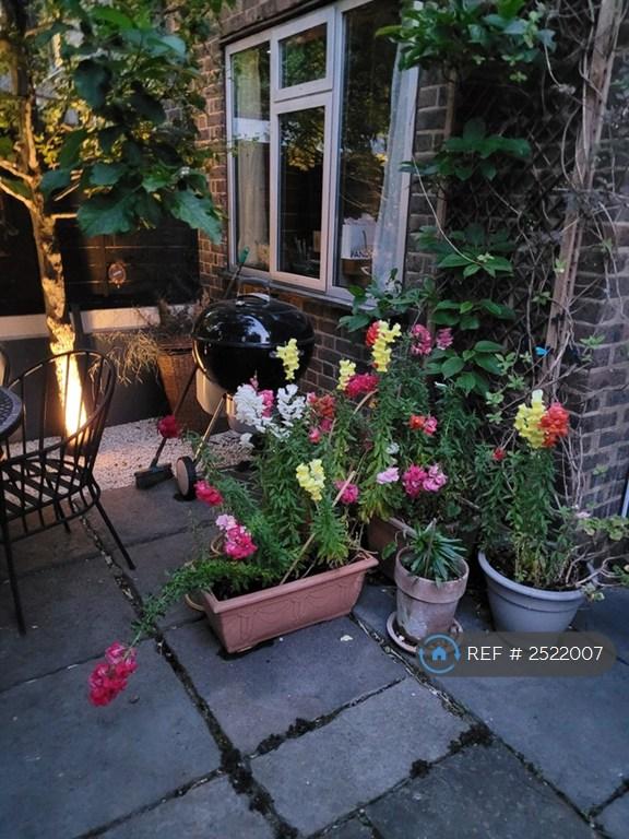 Evening In The Garden