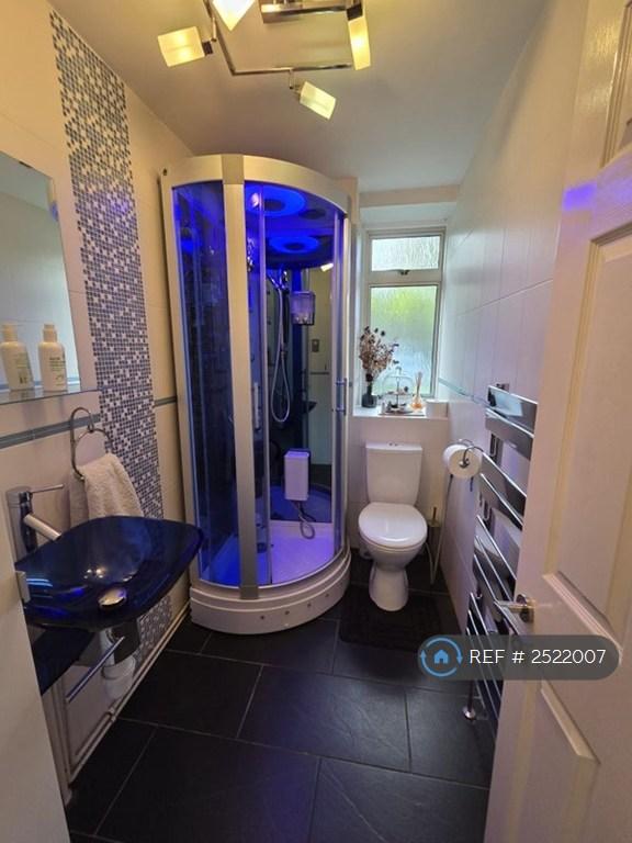 Steam Shower