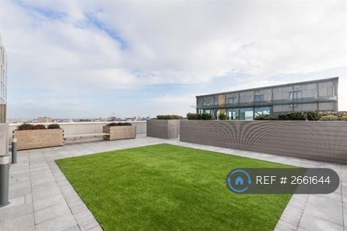 Terrace & Gym