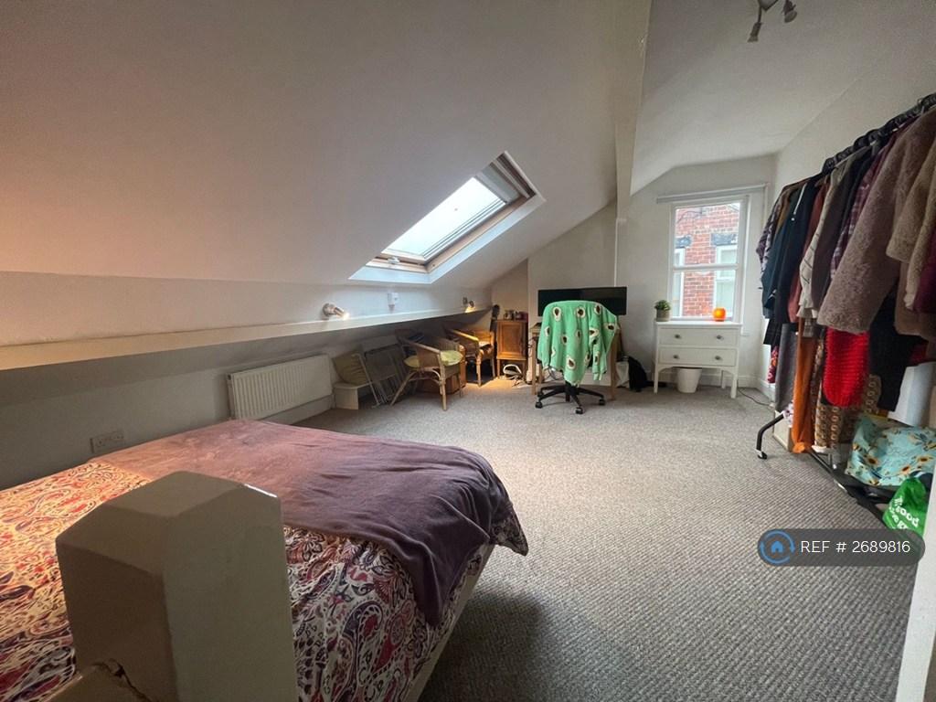 Room Darkening Big Velux Windows