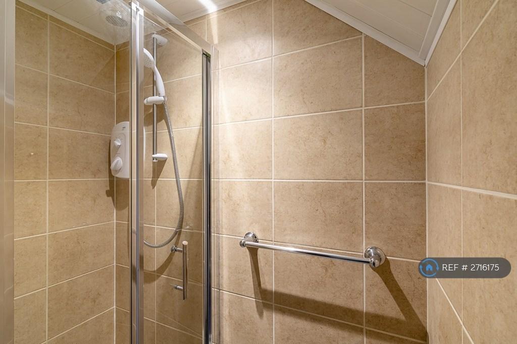 Shower (Downstairs)