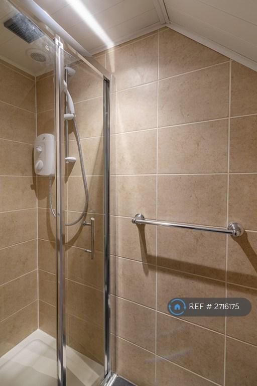 Shower (Downstairs)