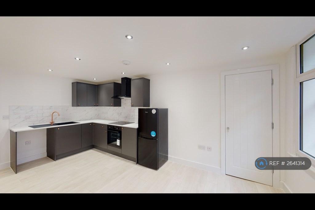 Kitchen/Living Area