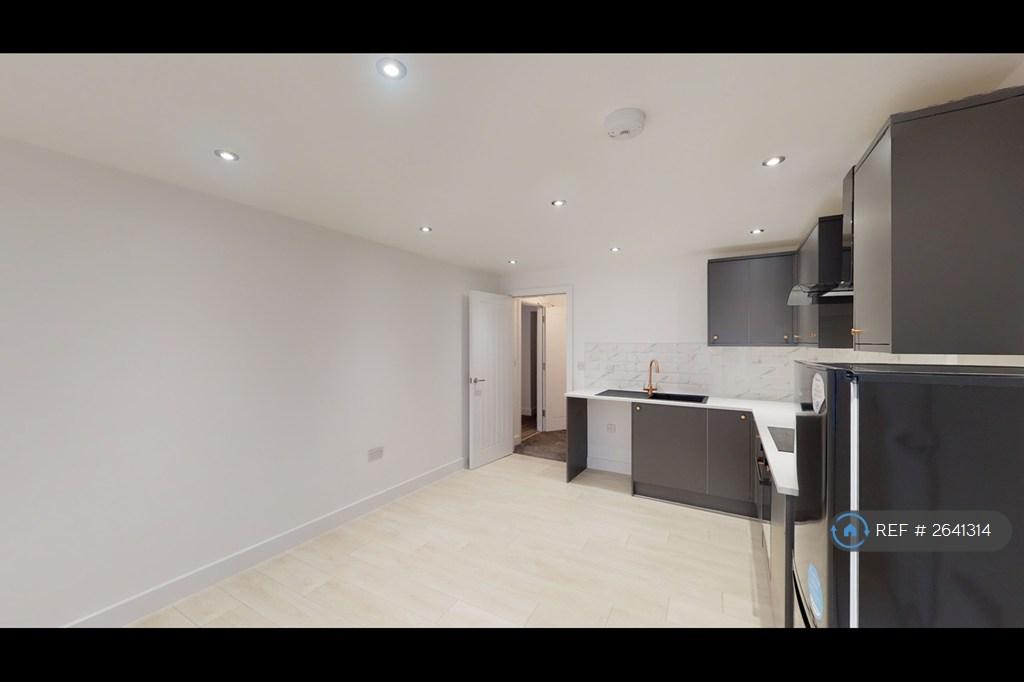 Kitchen/Living Area