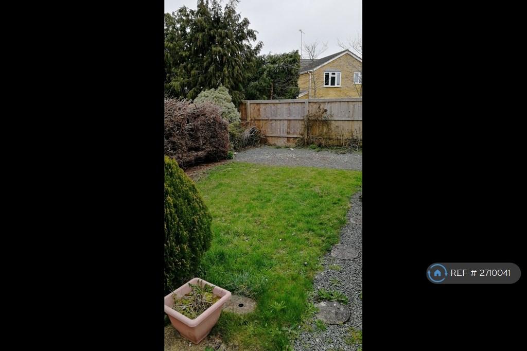 Back Garden