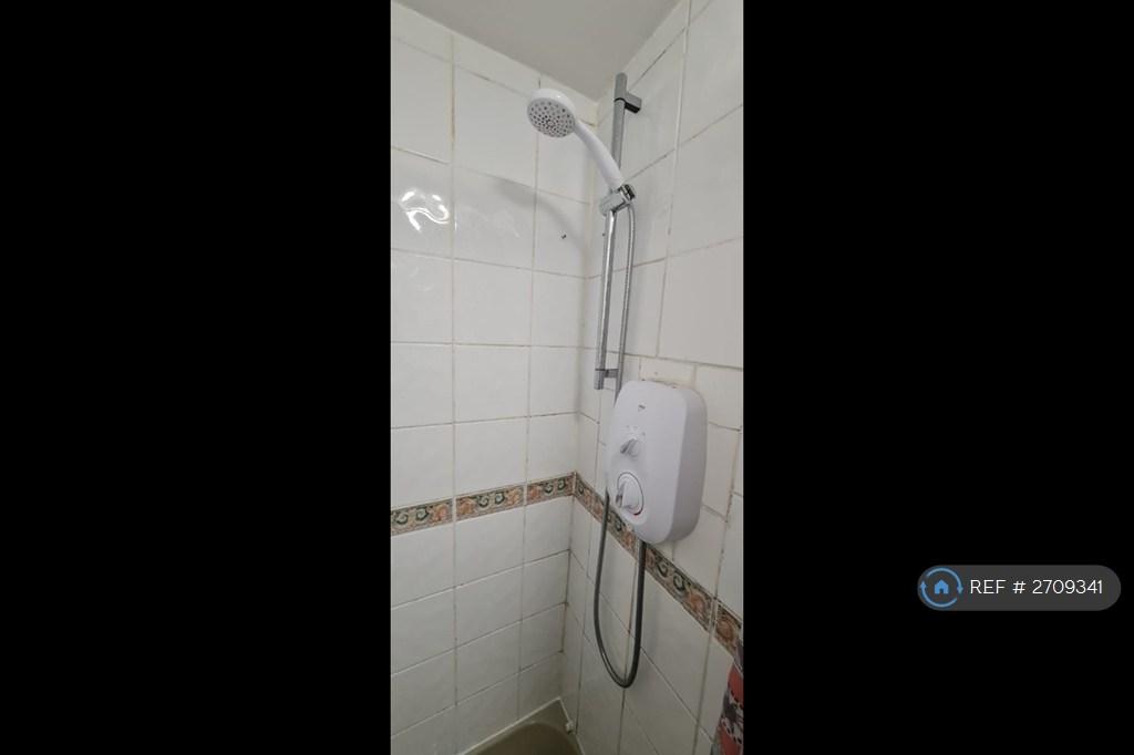 Electric Shower