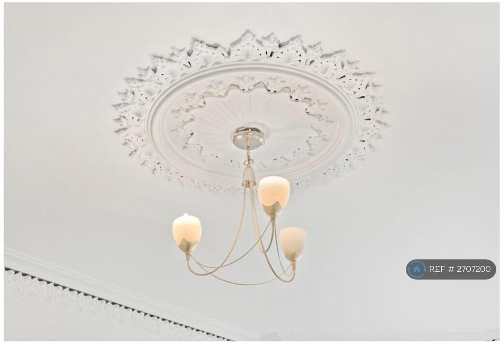 4th Bedroom - Cieling Rose