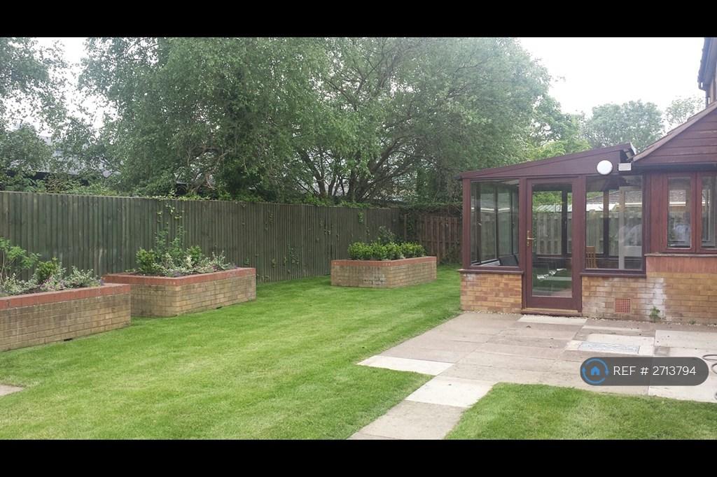 Communal Garden