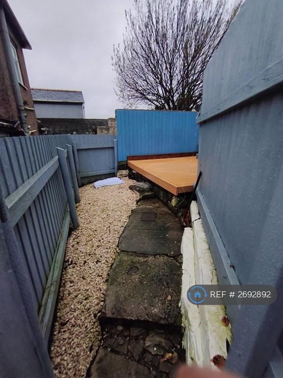 Rear Garden (3)