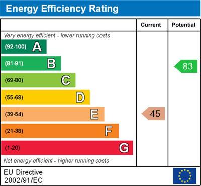 Energy Efficiency