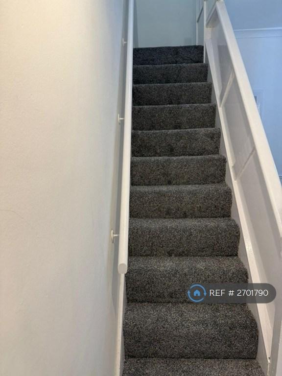Stairs - New Carpet