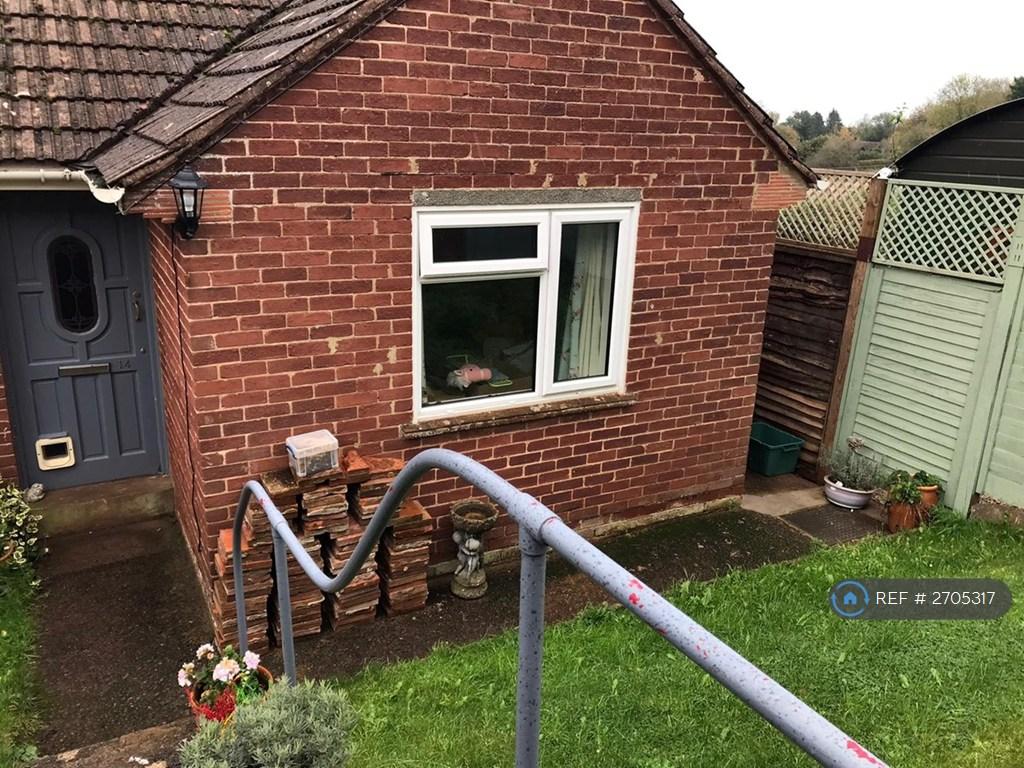 Front Garden 3
