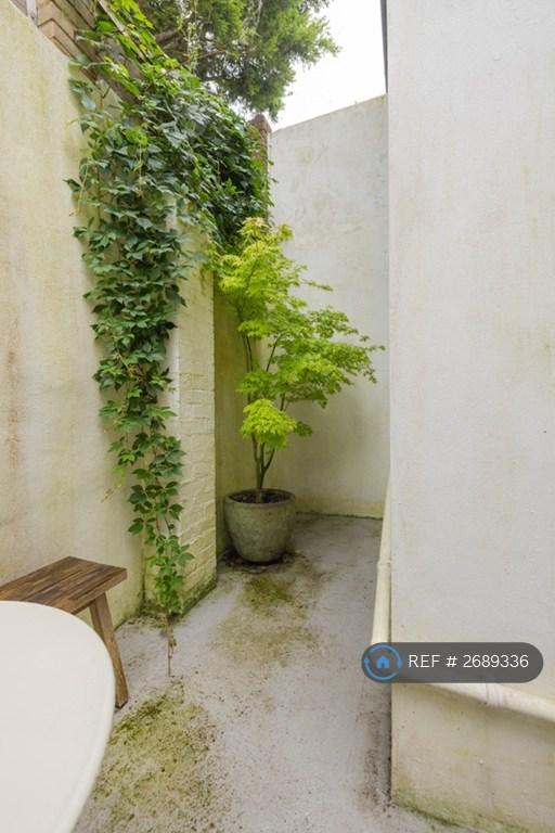 Back Courtyard