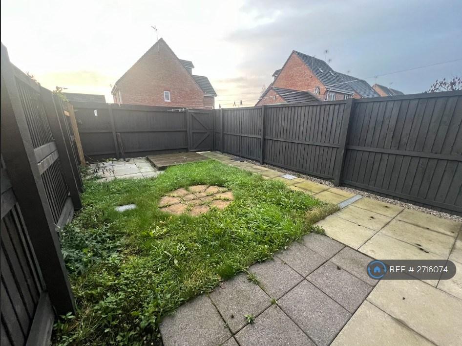 Back Garden
