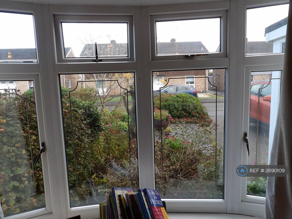 Looking Out The Lounge Window