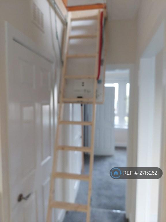 Access Via Folding Loft Ladder