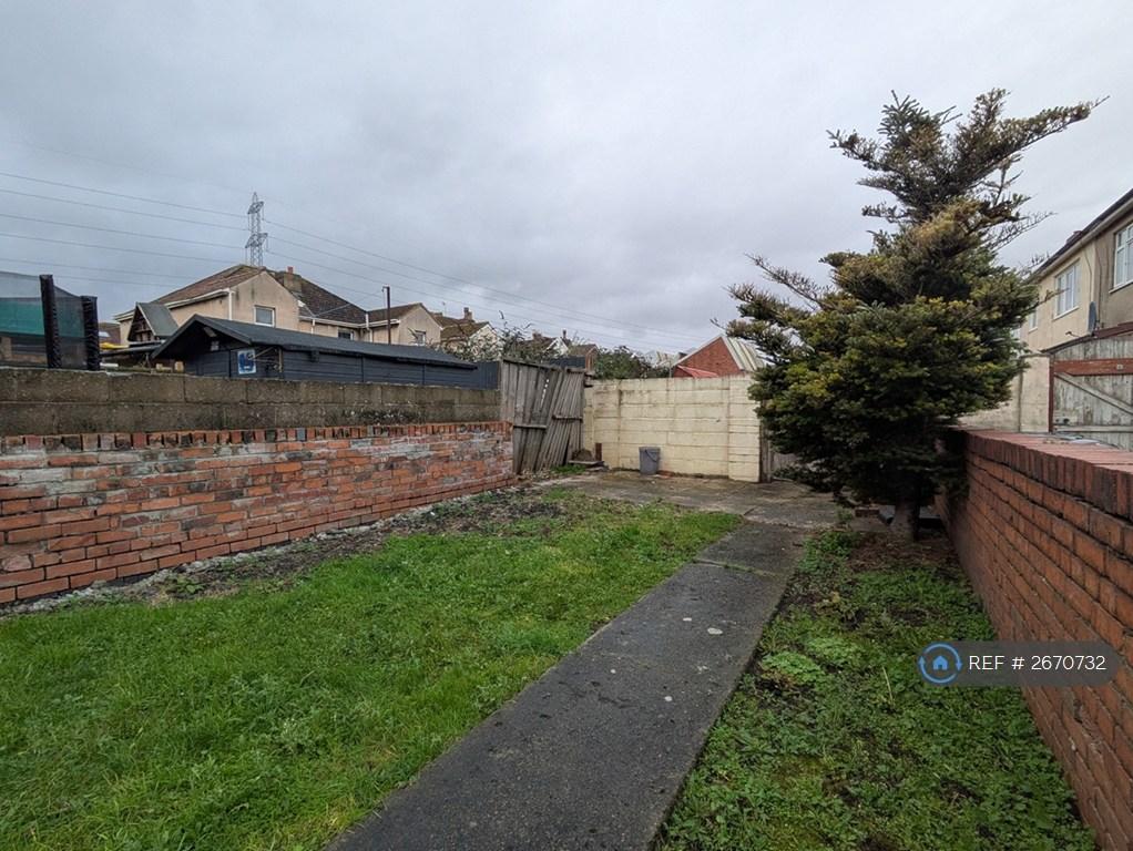 Back Garden