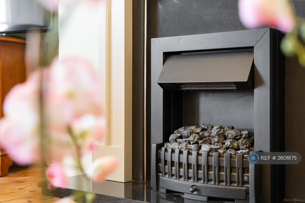 Electric Fireplace In Lounge