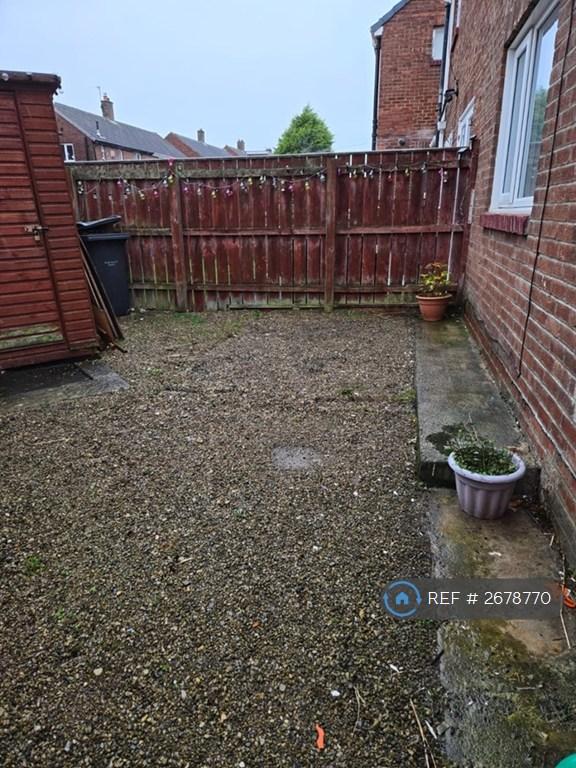 Back Garden