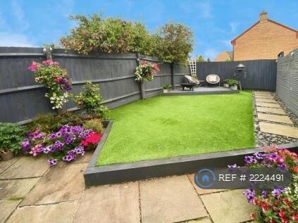 Back Garden