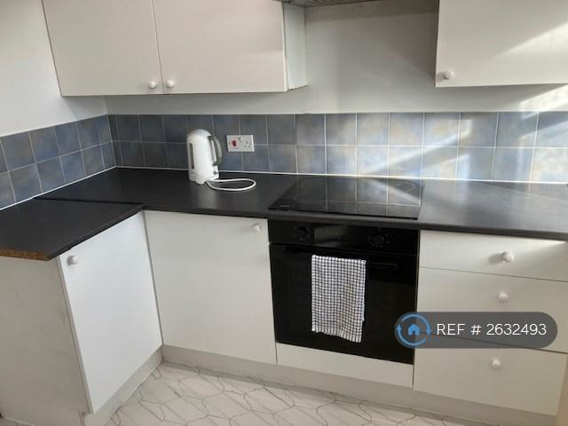 Brand New Oven