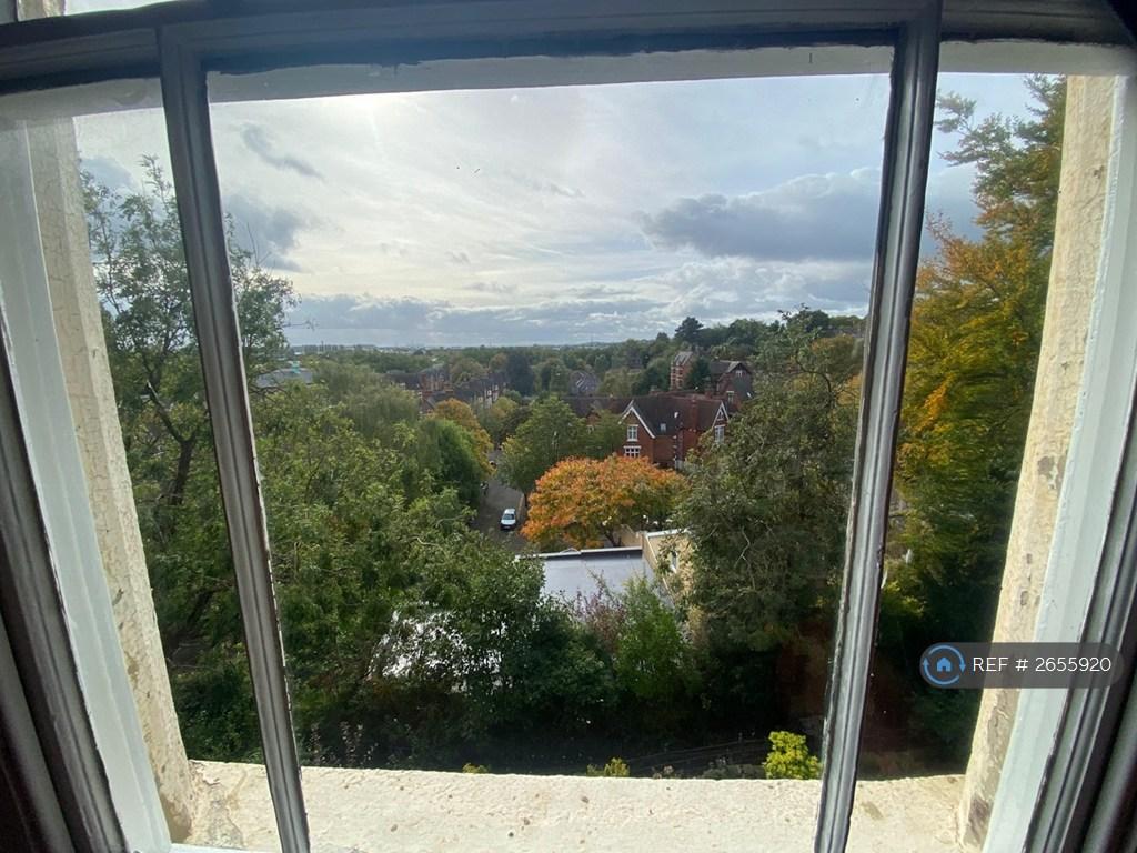 Living Room View
