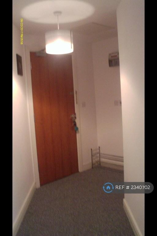 Flat Entrance/Corridor