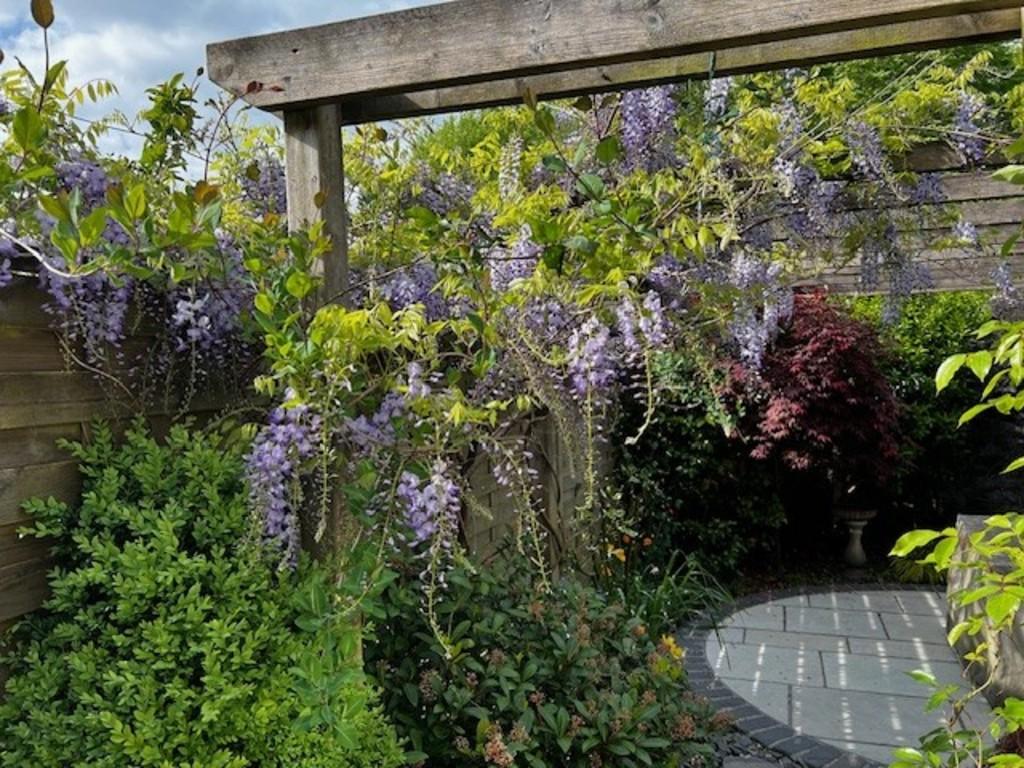 Garden (Vendor photo)