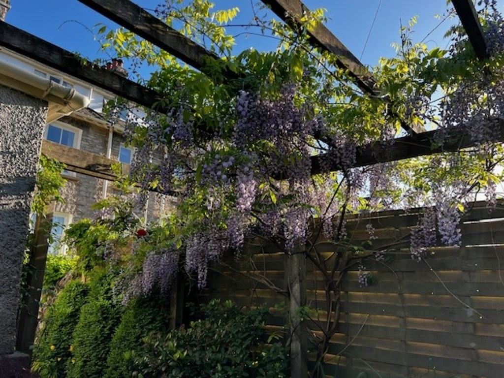 Garden (Vendor photo)
