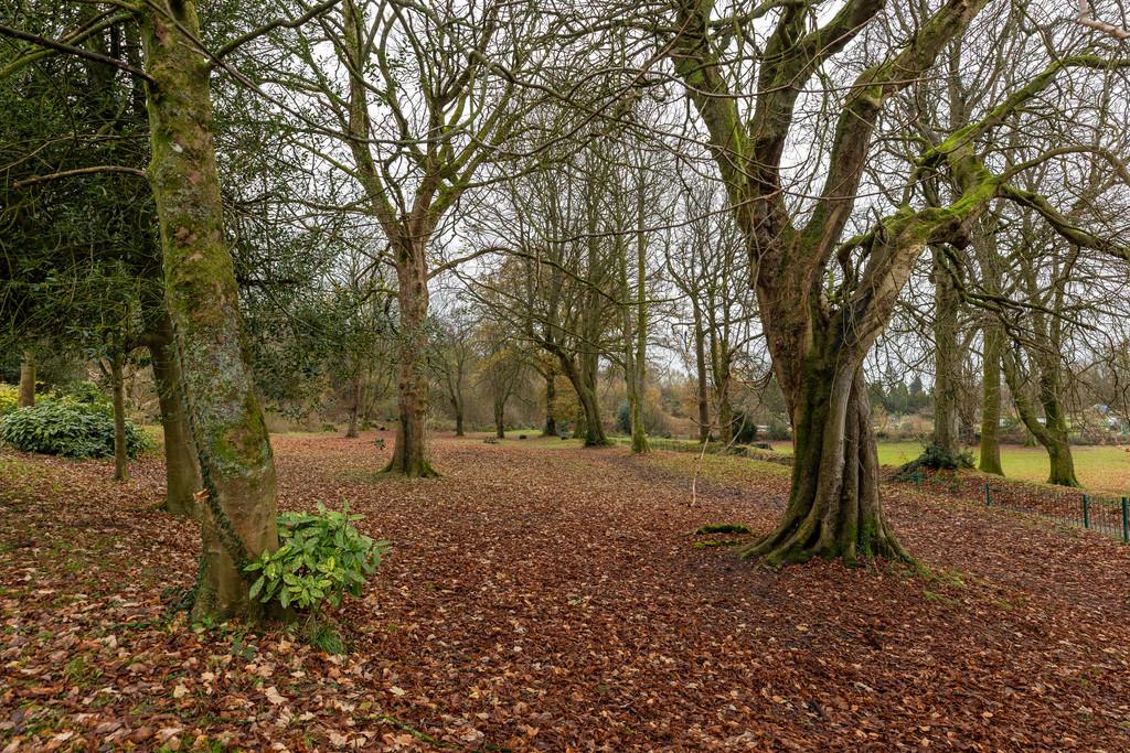 Flether Park