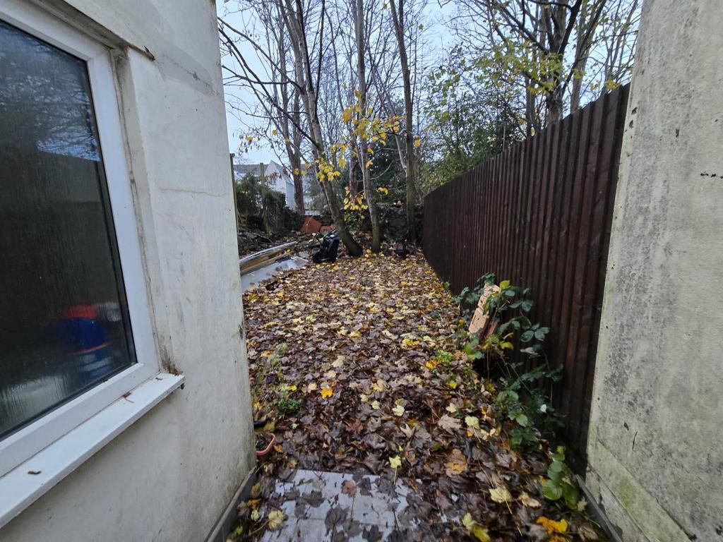 Rear garden (2)