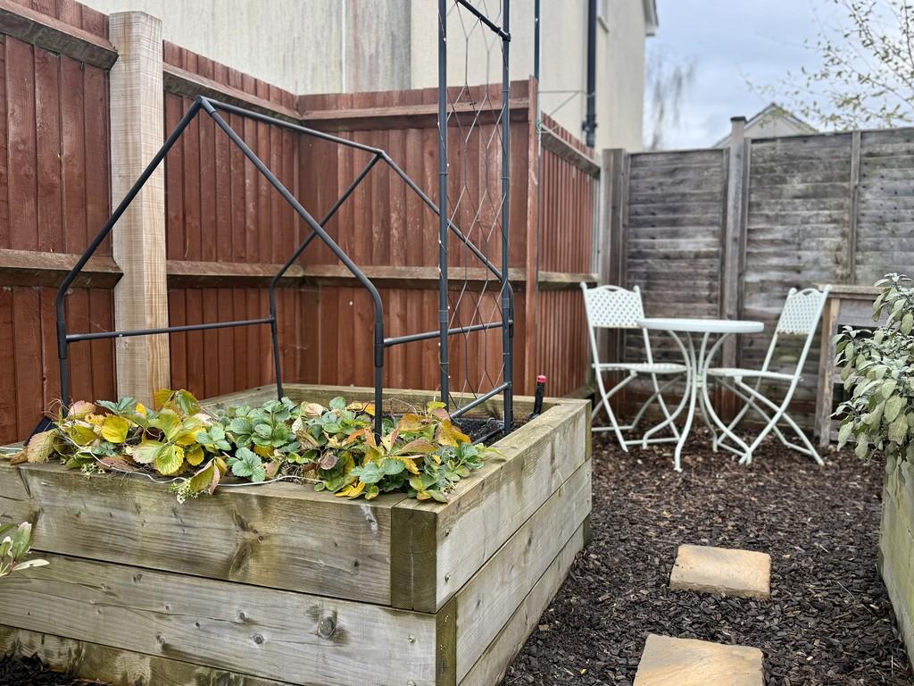 Kitchen Garden