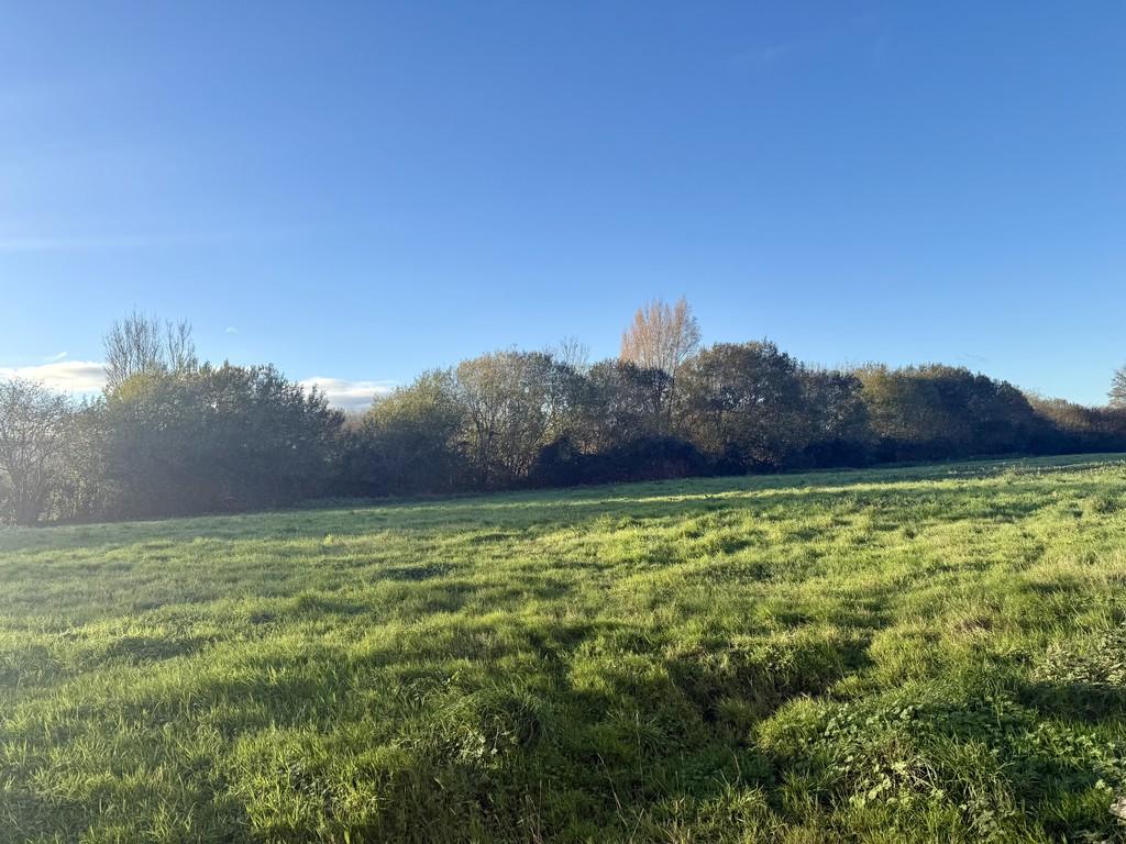 View Across Fields