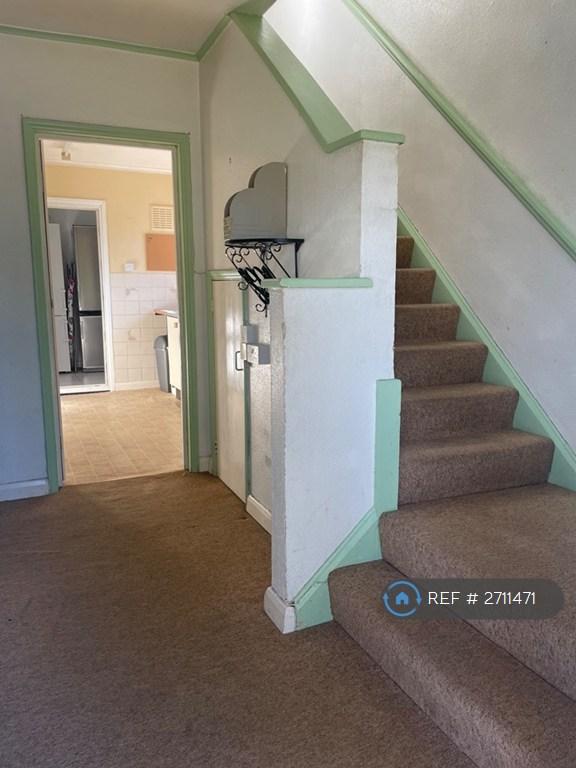 Downstairs Hallway