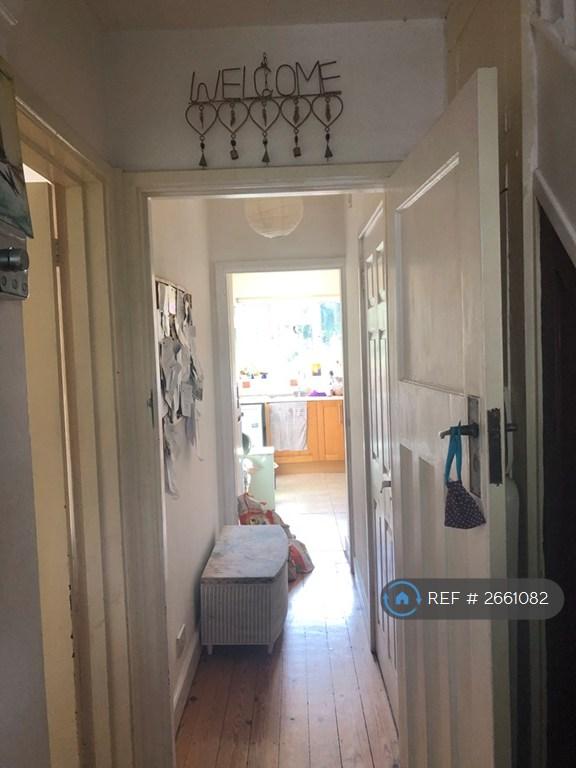 Downstairs Hallway