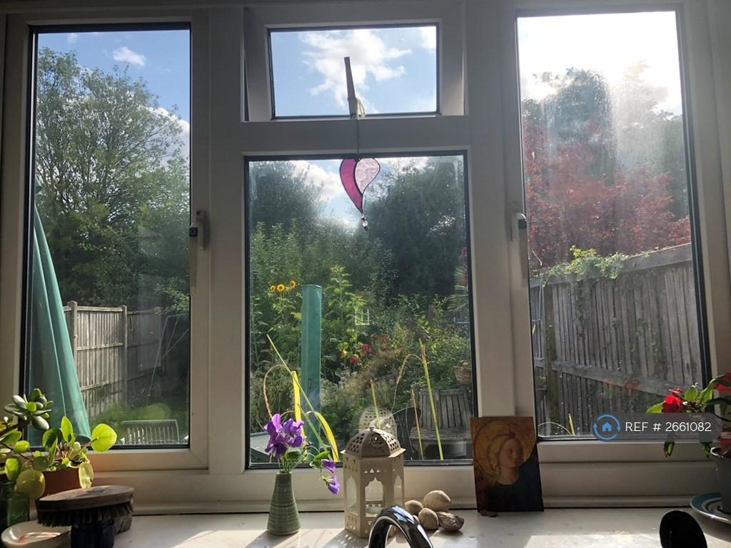 View From Kitchen Window