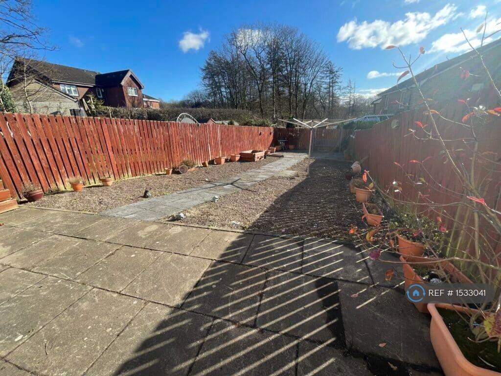 Back Garden