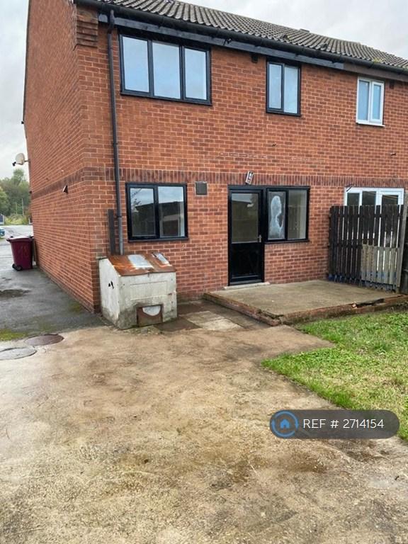 Back Garden