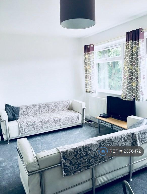 Bright Sunny Lounge