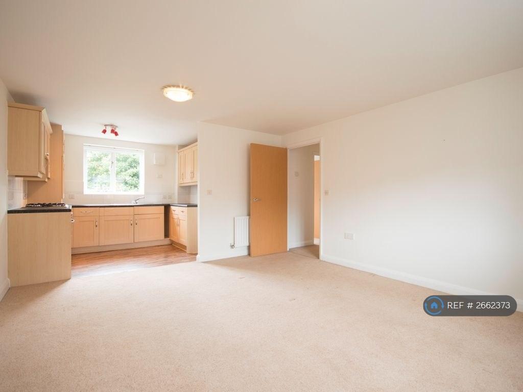 Open Plan Lounge/ Kitchen