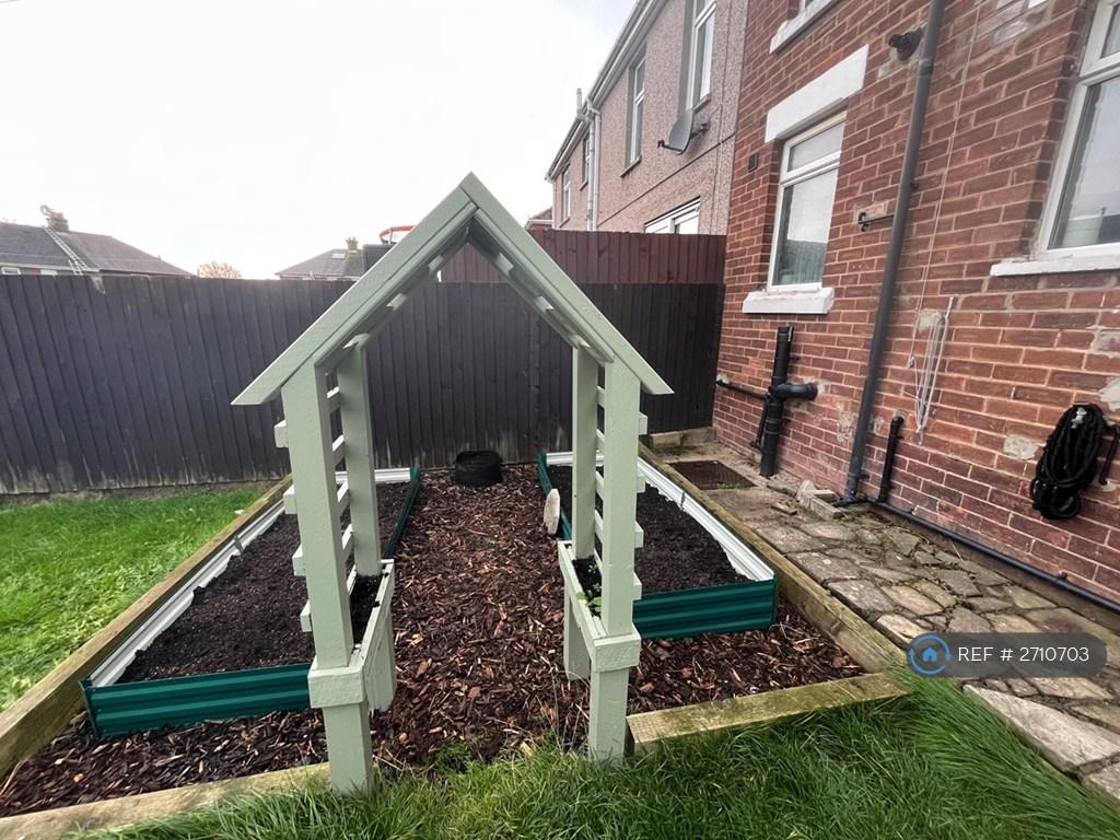 Vegetable Patch
