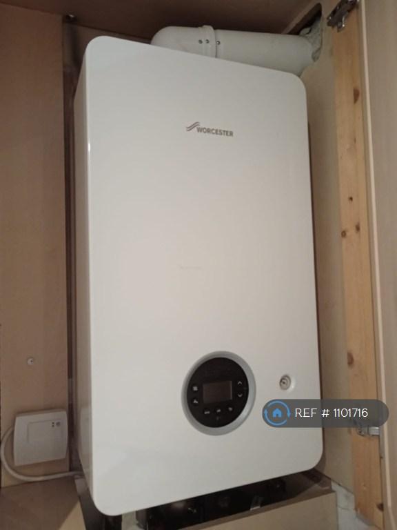 New Boiler