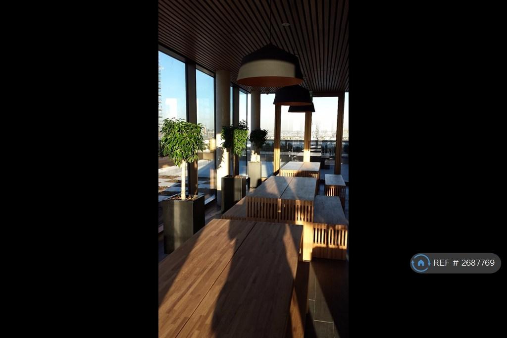 Roof Garden